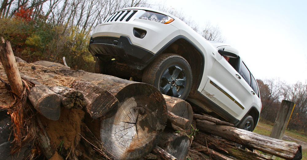 image of car on tree trunks