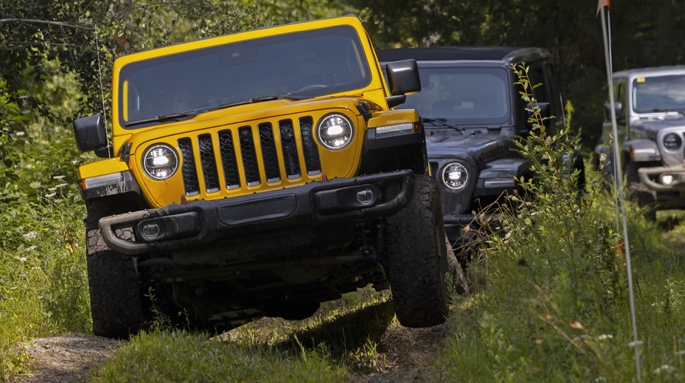 image of yellow car in in the woods
